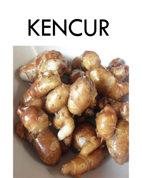 kunyit
