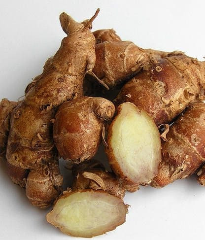 animasi