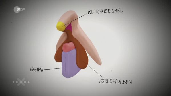 gambar berhubungan