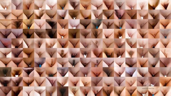 memek tweet