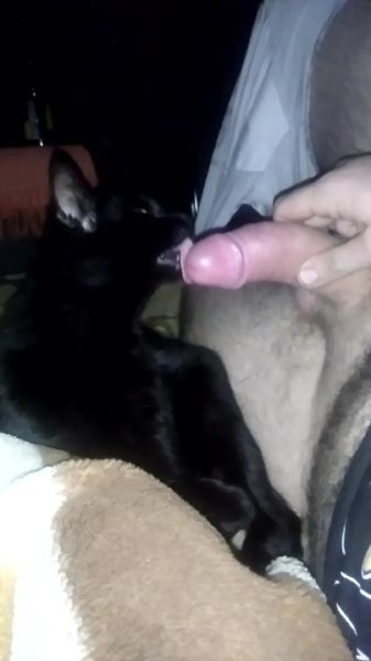 bini