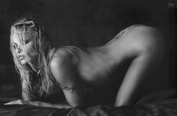 pamela anderson headshot